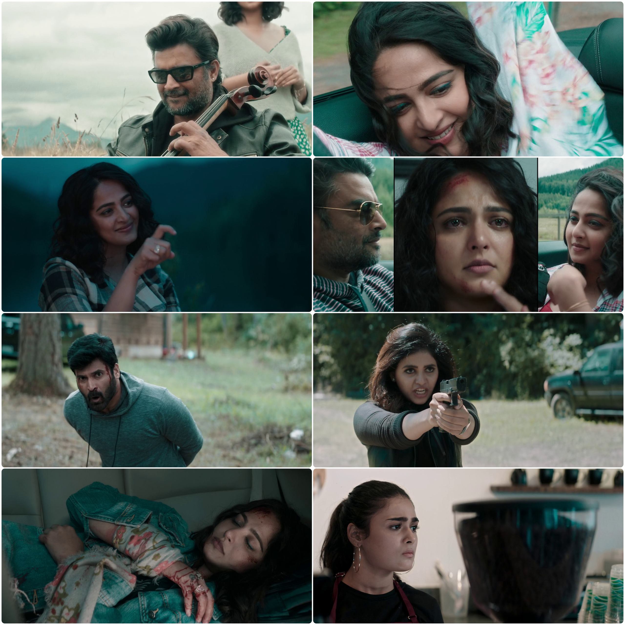 Nishabdham (2020) (Hindi + Telugu) Dual Audio UnCut South Movie HD ESub Screenshot